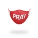 HOT SALE ☆☆☆ PRAY FORM-FITTING MASK